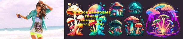 дмт Алзамай